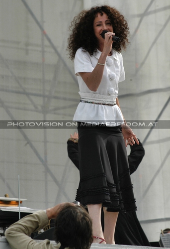 If this time is the last time: Sandra Pires