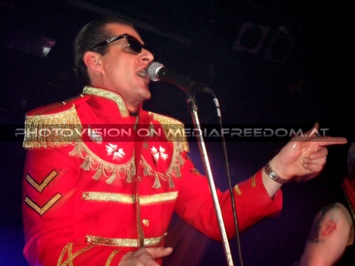 The Tigers Party 082