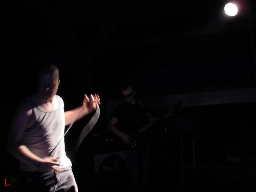 punkrock rules: Scum breed