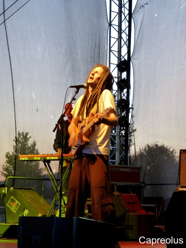 Where You Came From: Martin Zobel