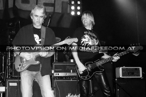 The Tigers Party 033