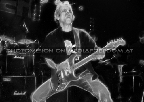 The Tigers Party 040