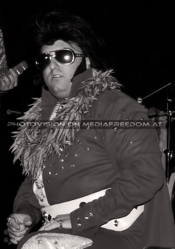 Un-Led-Ed Tour 13: Tortelvis