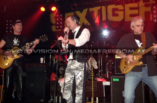 The Tigers Party 035