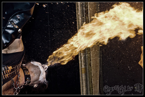 KISS: KISS FOREVER BAND