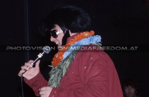 Un-Led-Ed Tour 25: Tortelvis