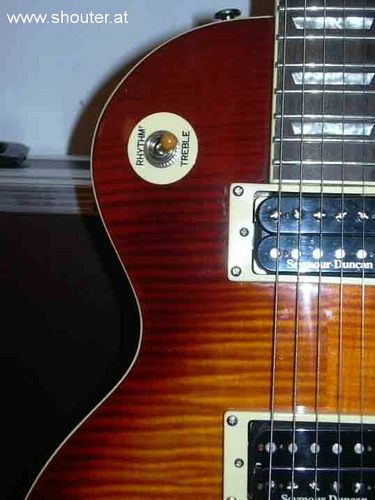 tiger is ready to rock: gibson les paul - tuned