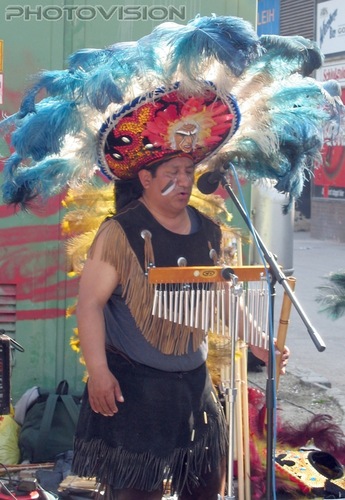 Proud Indian Musician