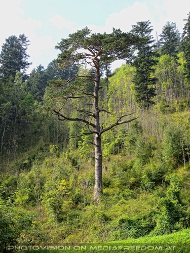 Beim Sebastian Wasserfall 24