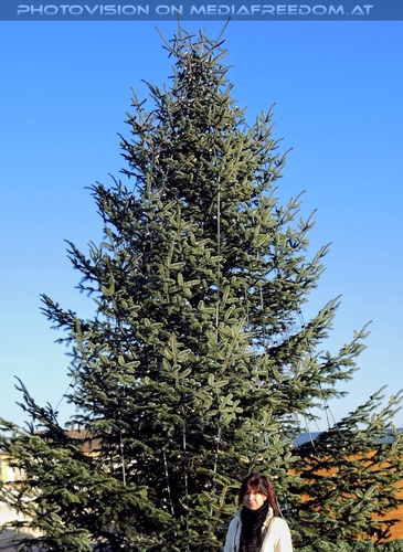 Advent im Schloss 10