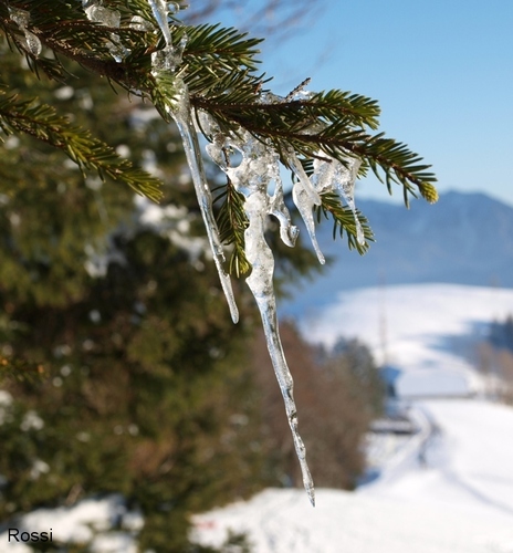 Nat�rlicher Christbaumschmuck