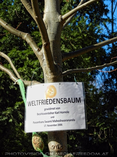 Fr�hlingserwachen 13