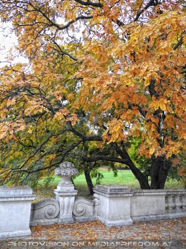 Herbst im Burggarten