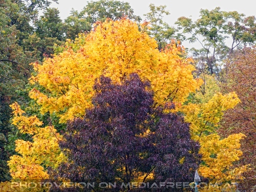 Herbstpracht