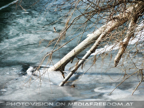 Sehr d�nnes Eis - Pix 09