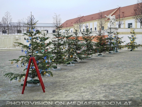 Weihnachtsbaum Allee