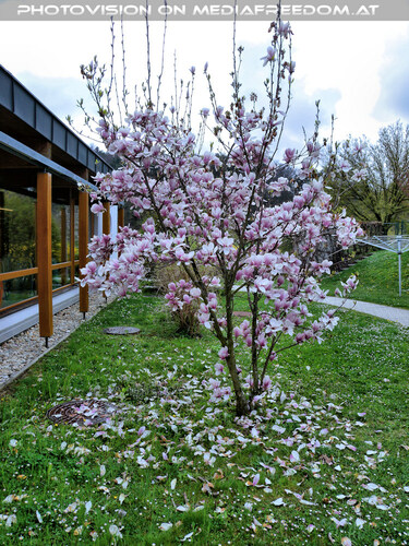 Geburtstag im Schaffelbad 12