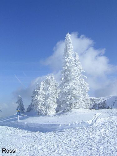 So Kitsch as Kitsch could be