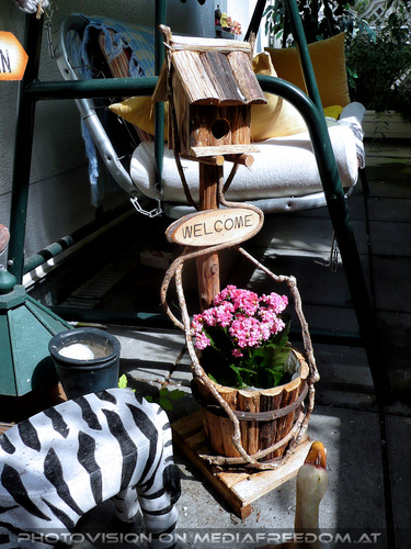 Birds of paradise 01