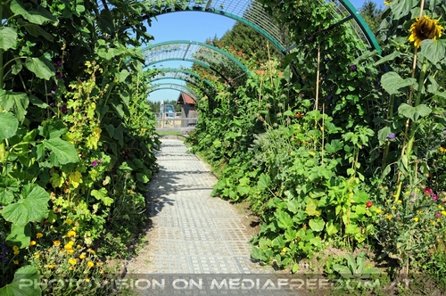 Hemmungslos Liebe 38