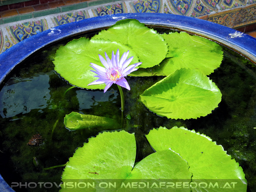 Wat Phra Kaew Tempel 36
