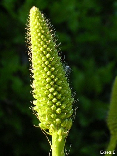 Unbekannt aber sch�n!