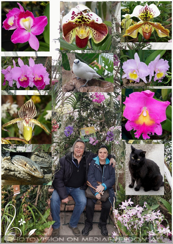 Die Sch�nheiten des Tages