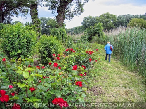 Zwischen Rosen und Schilf: Gabriele P.
