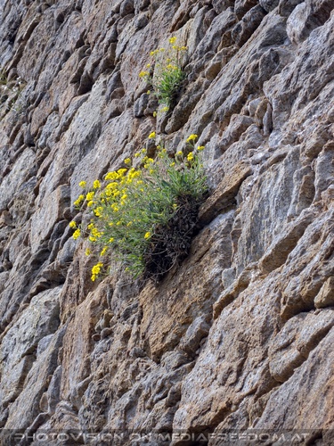 Hexenkunst und Rittergunst 30