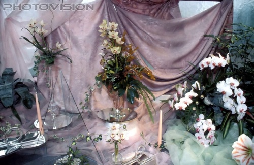 Orchideen Arrangement