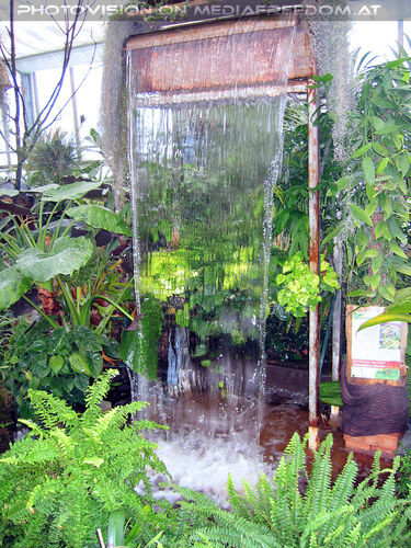 Sch�ne Stimmung 03