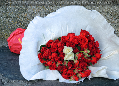 Celebrate Valentine 17