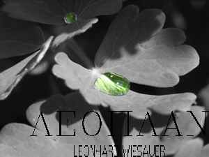 Klee: Klee, Regentropfen