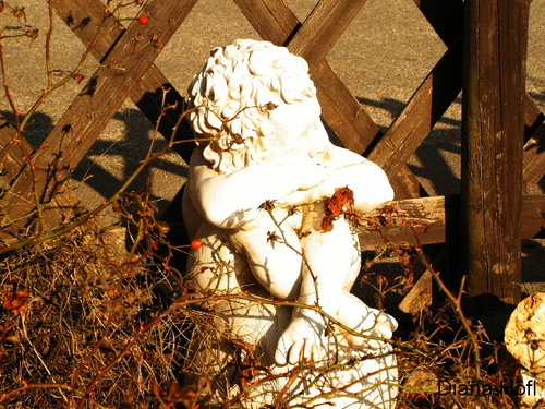 Schlafen wie ein Engel