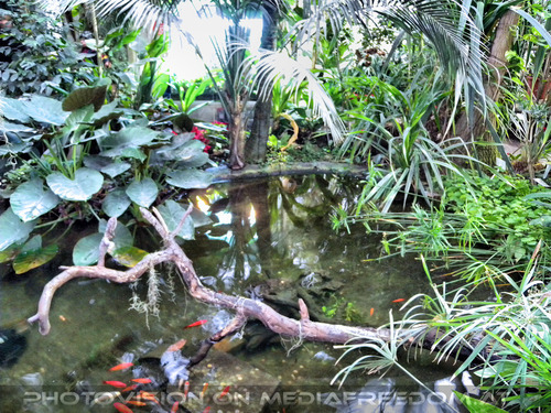 Im Palmenhaus 10