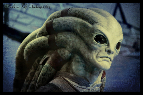 Kit Fisto (Jedi-Meister)