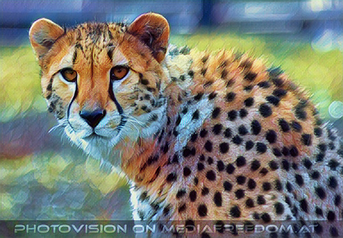 Gepard 2