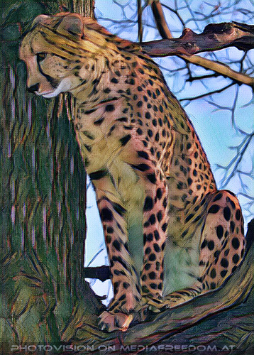 Gepard 4