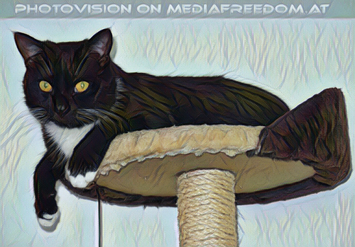 Ein guter Morgen mit Ebony 01