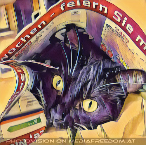 Ein guter Morgen mit Ebony 07