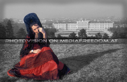 A dream in spanish 24