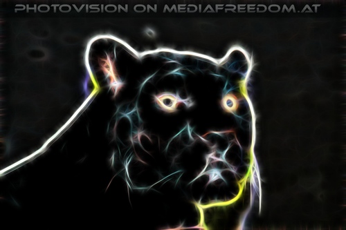 Black Jaguar Vision