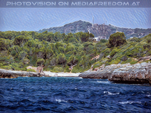 Glass bottom boat tour 29