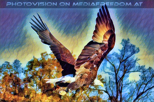 Falknereivorf�hrung 24