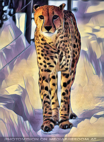Gepard 4
