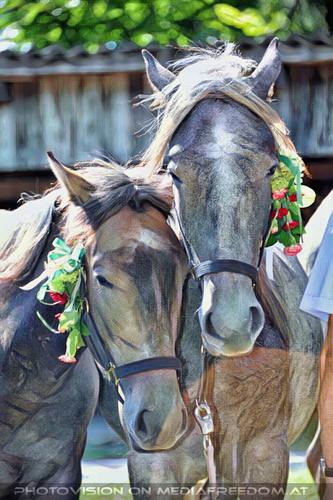 1. Station - Gasthof Wiendl 53