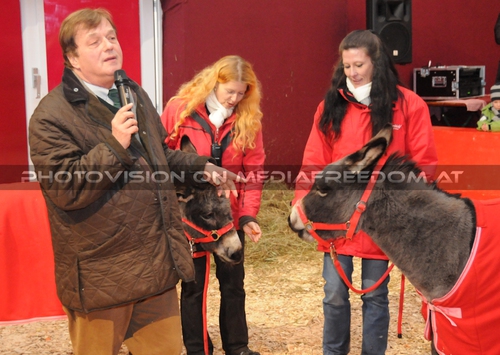 Das Leid dieser Tiere...