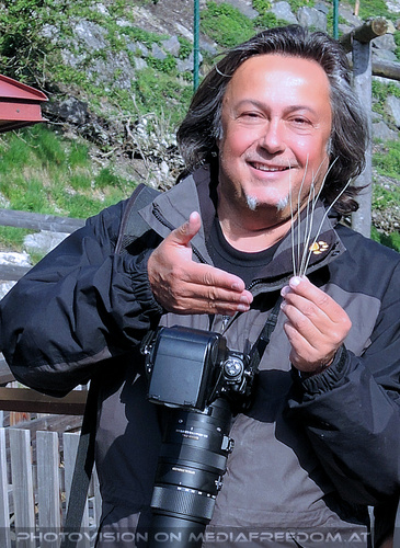 Im Reich der wei�en Tiger 37: Charly Swoboda