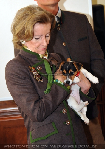 Club der Freunde des Lipizzanergest�ts 17