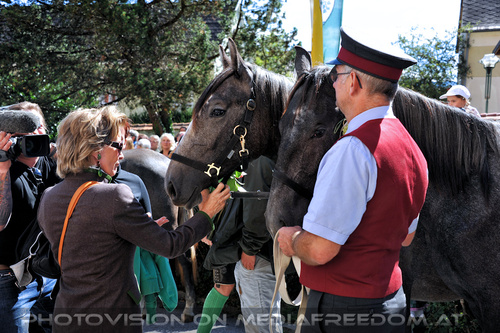 2. Station - Pferdesegnung 17: Elisabeth G�rtler
